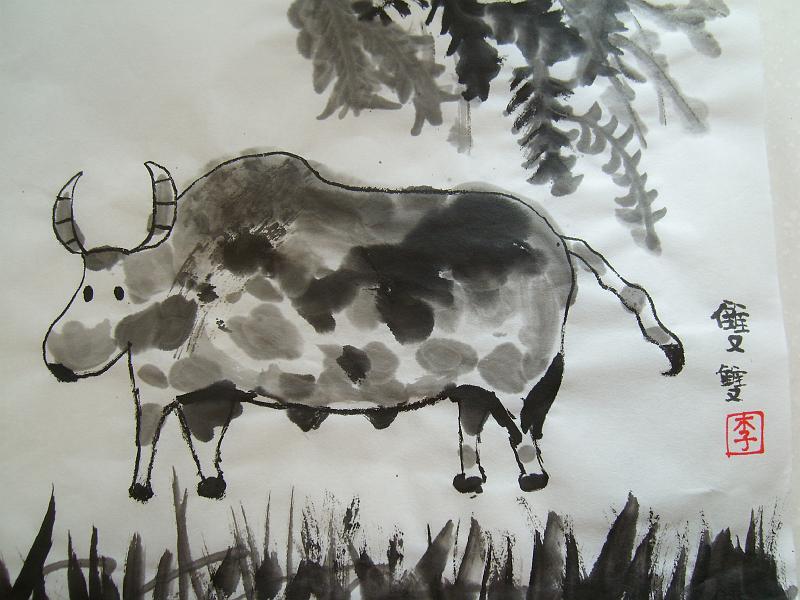 cow (3).JPG
